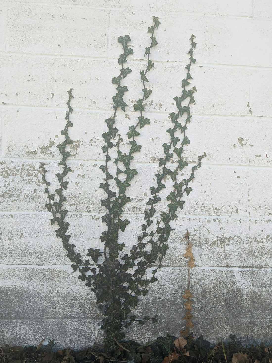 white and black concrete wall