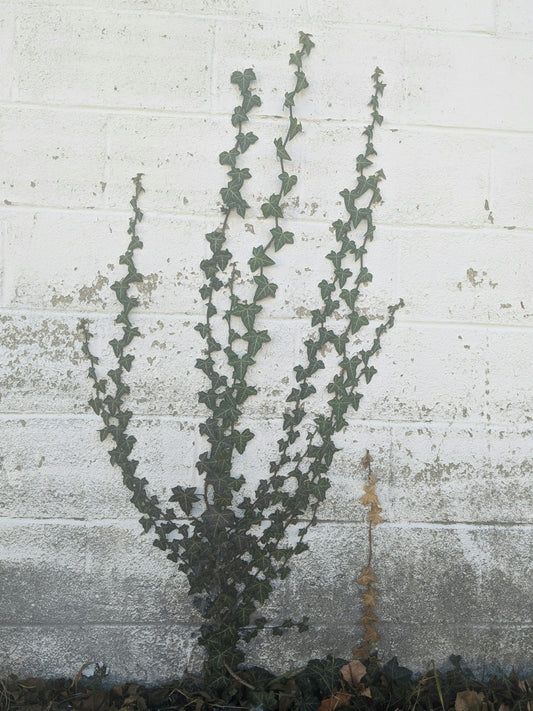 white and black concrete wall
