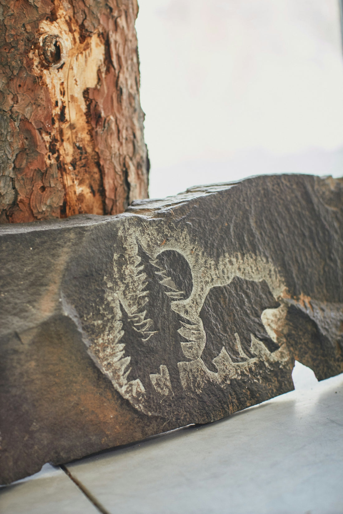 a rock with a drawing on it