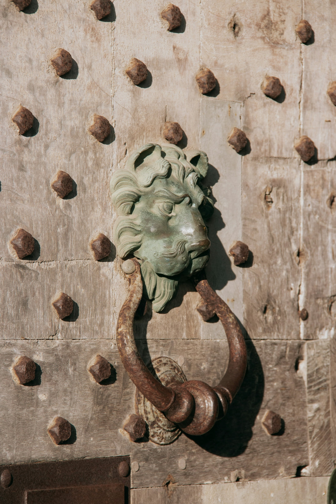 a door knockle with a lion's head on it