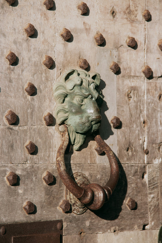a door knockle with a lion's head on it
