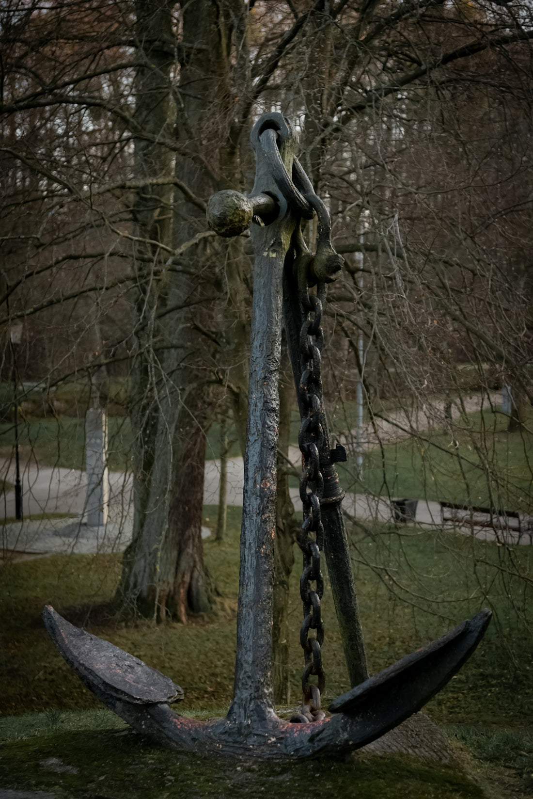 A tree with chains hanging from it in a park