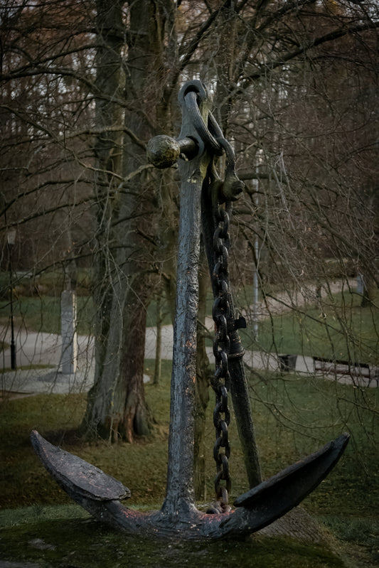 A tree with chains hanging from it in a park