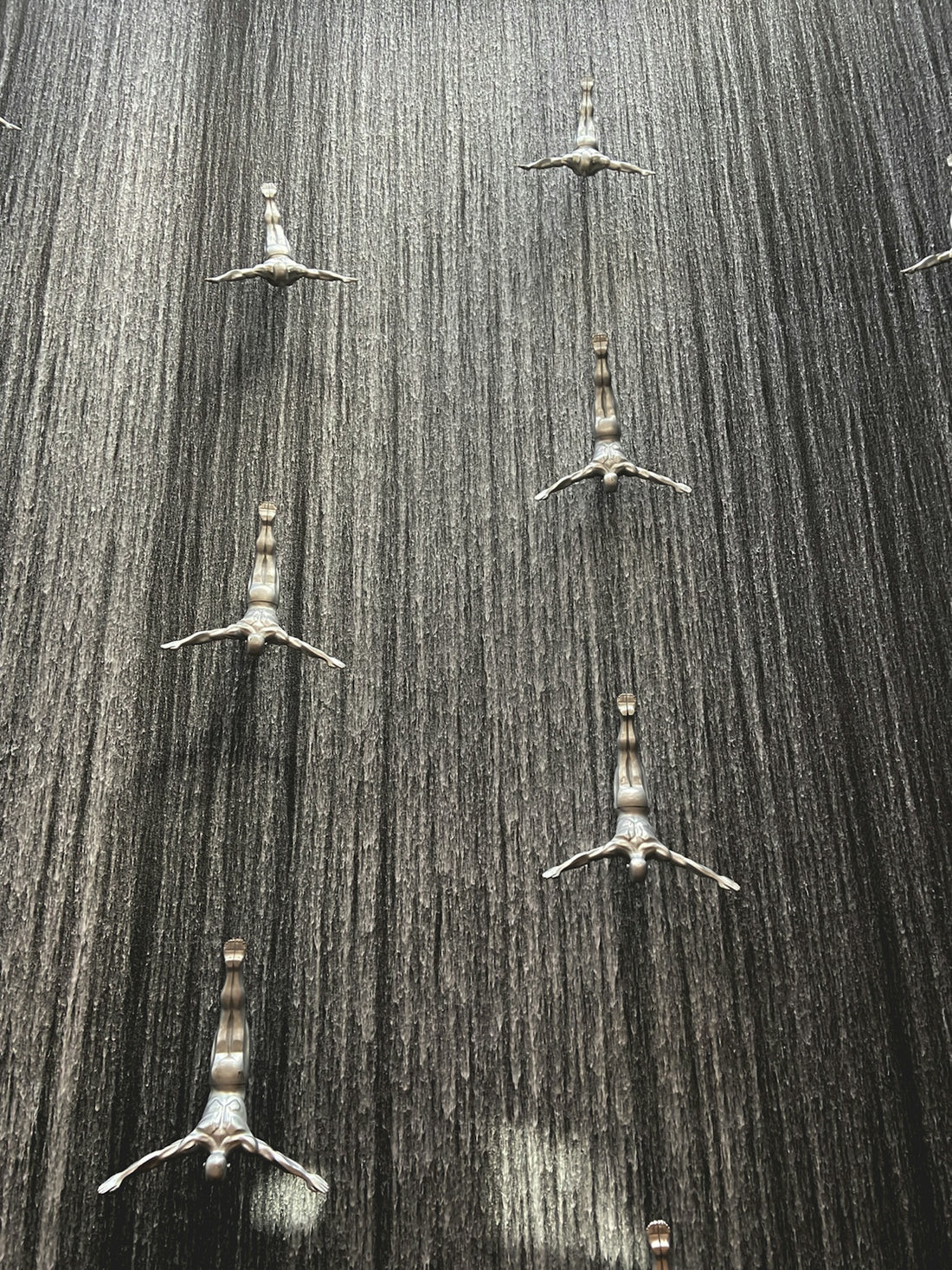 A group of birds standing on top of a field