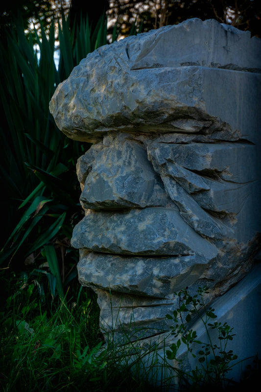 Stone sculpture resembling a face in lush greenery.
