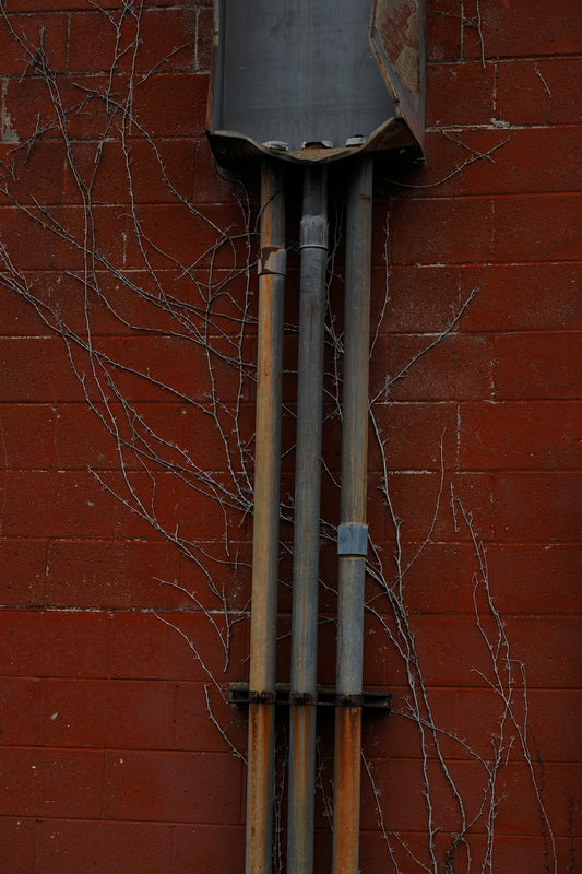 Pipes and vines on a red brick wall.