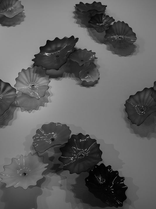 Several glass floral sculptures mounted on a wall.