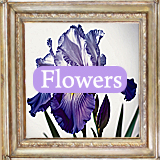 flowers wall art