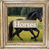 horses wall art